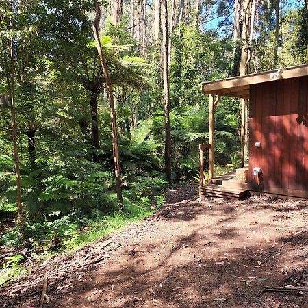 The Fernglen Forest Retreat Bed & Breakfast Mount Dandenong Exterior photo