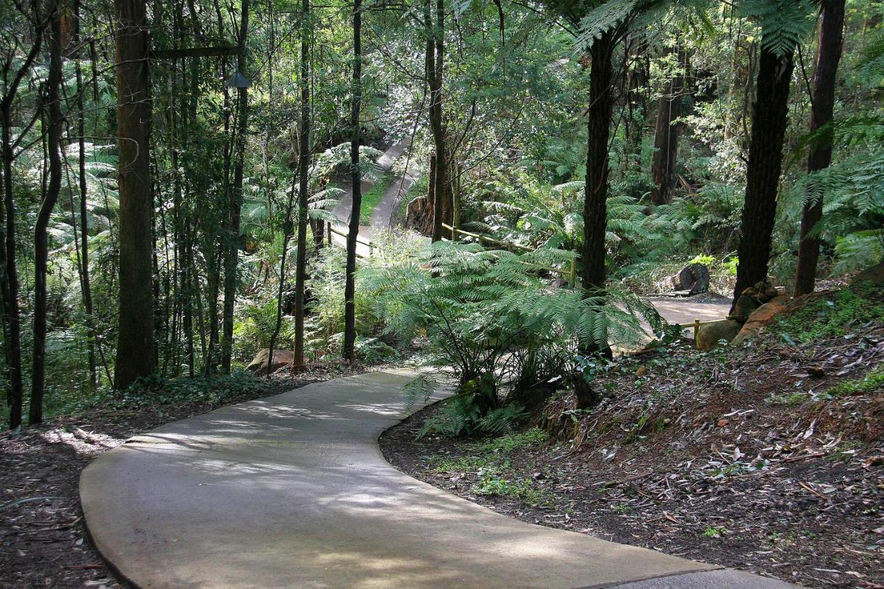 The Fernglen Forest Retreat Bed & Breakfast Mount Dandenong Exterior photo