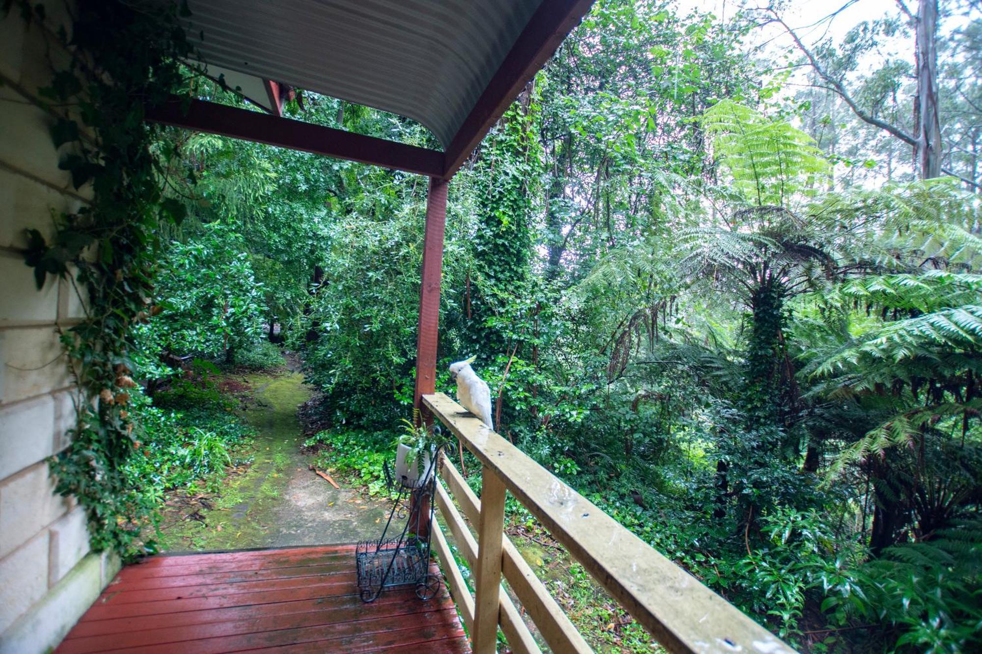 The Fernglen Forest Retreat Bed & Breakfast Mount Dandenong Exterior photo