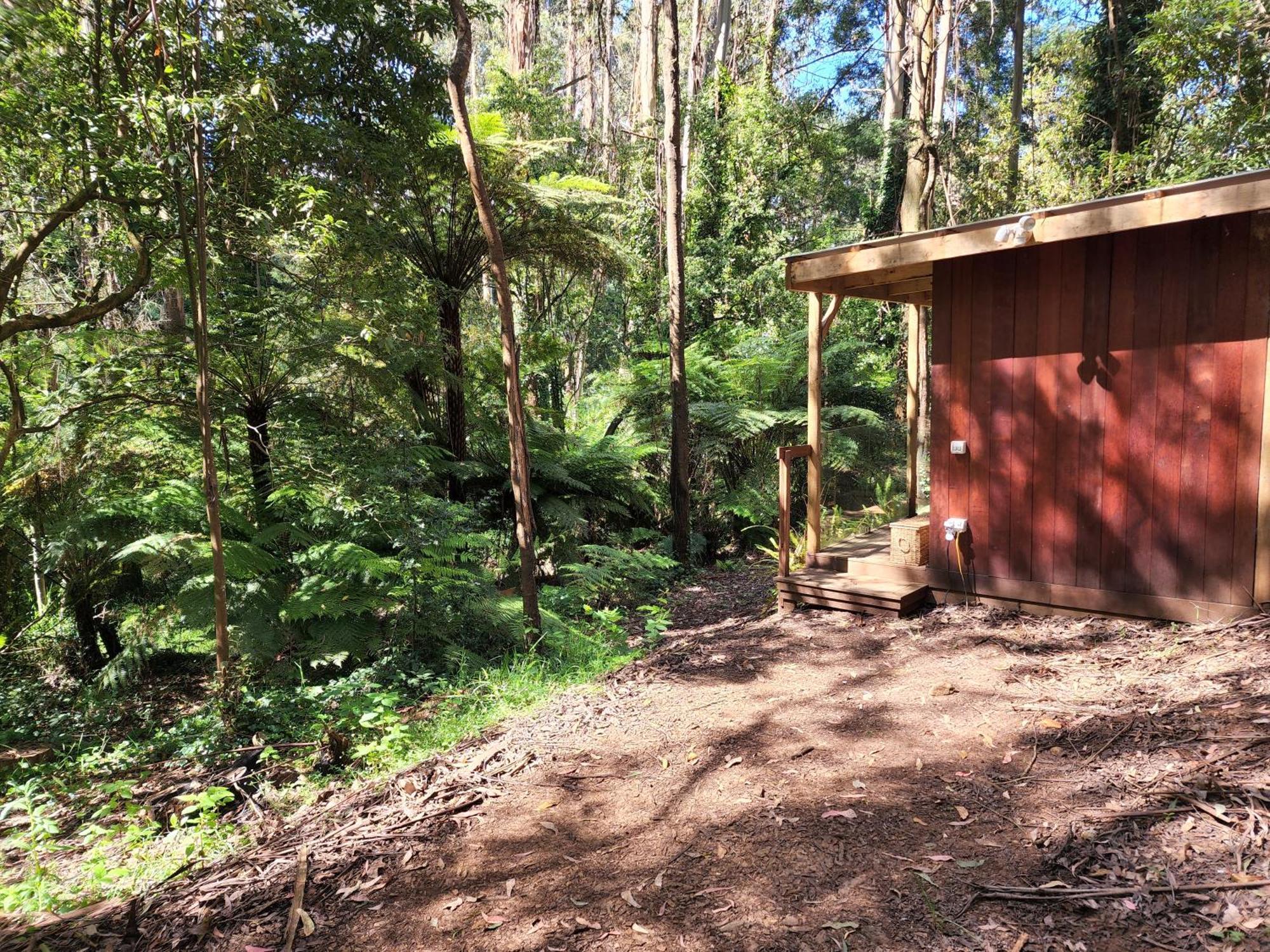 The Fernglen Forest Retreat Bed & Breakfast Mount Dandenong Exterior photo