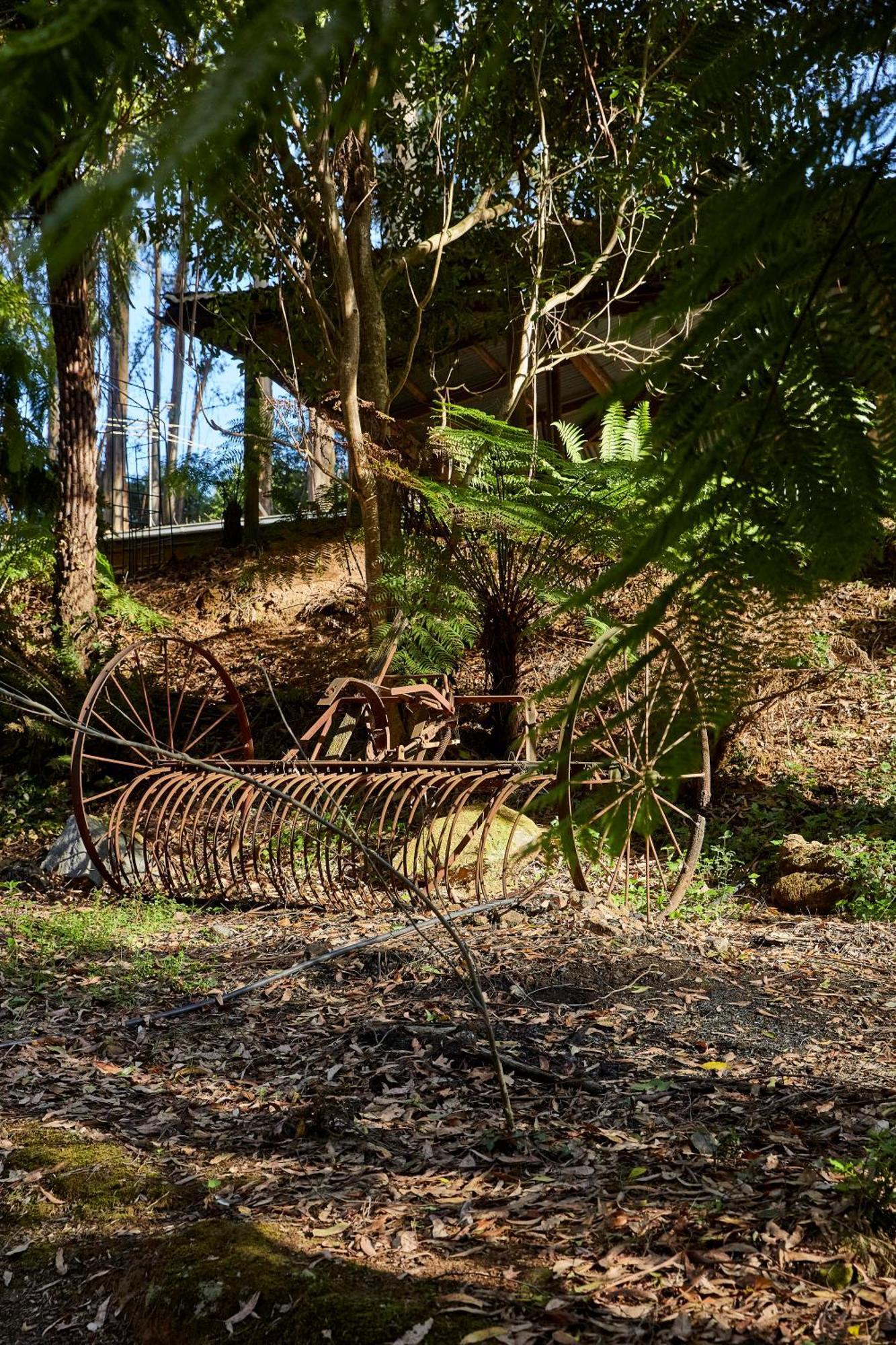 The Fernglen Forest Retreat Bed & Breakfast Mount Dandenong Exterior photo