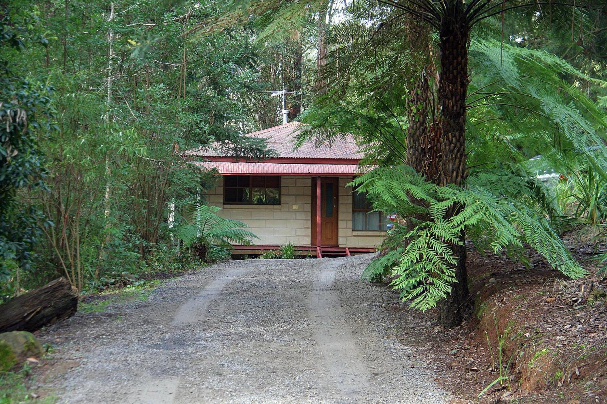 The Fernglen Forest Retreat Bed & Breakfast Mount Dandenong Exterior photo