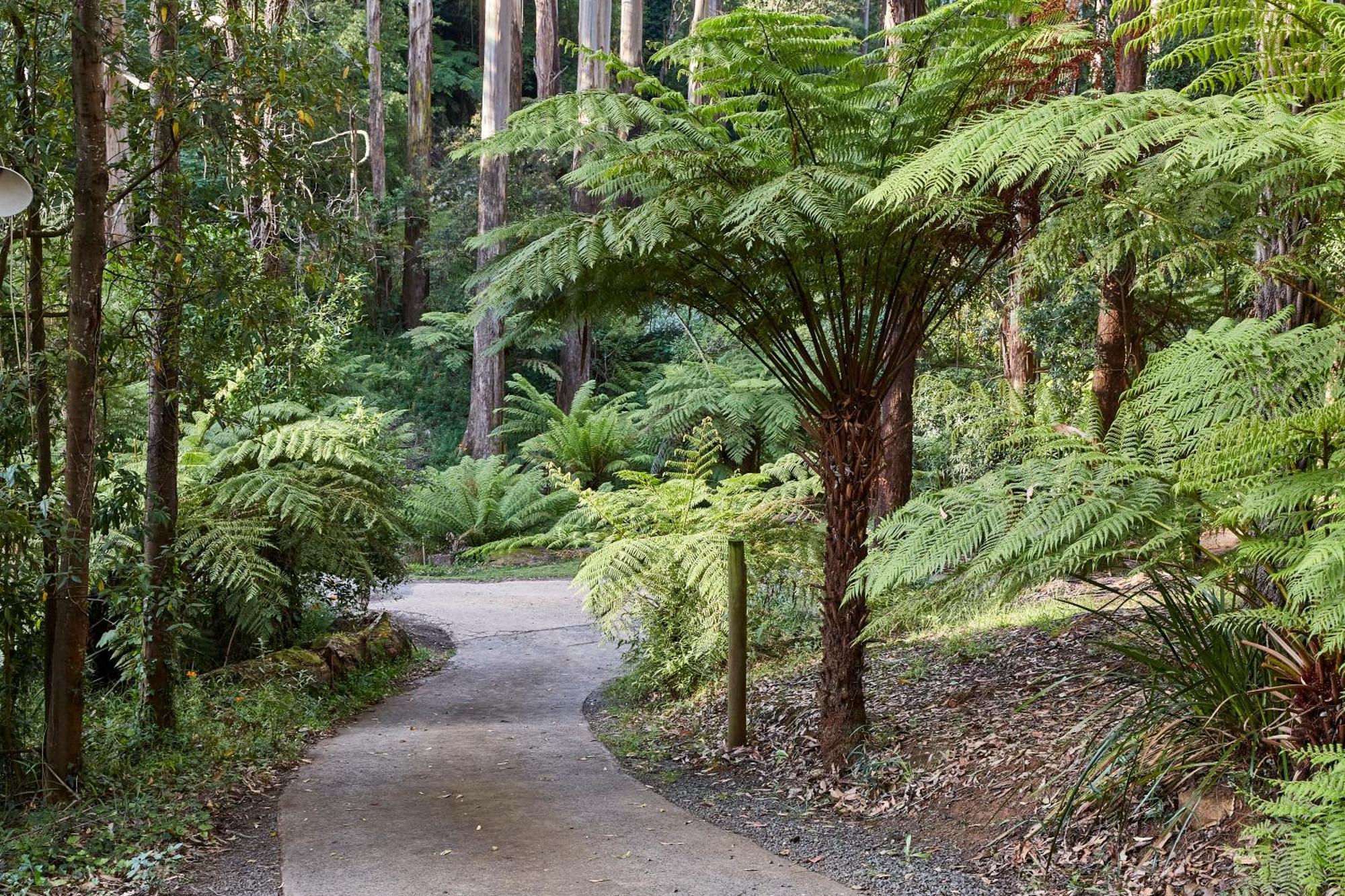 The Fernglen Forest Retreat Bed & Breakfast Mount Dandenong Exterior photo