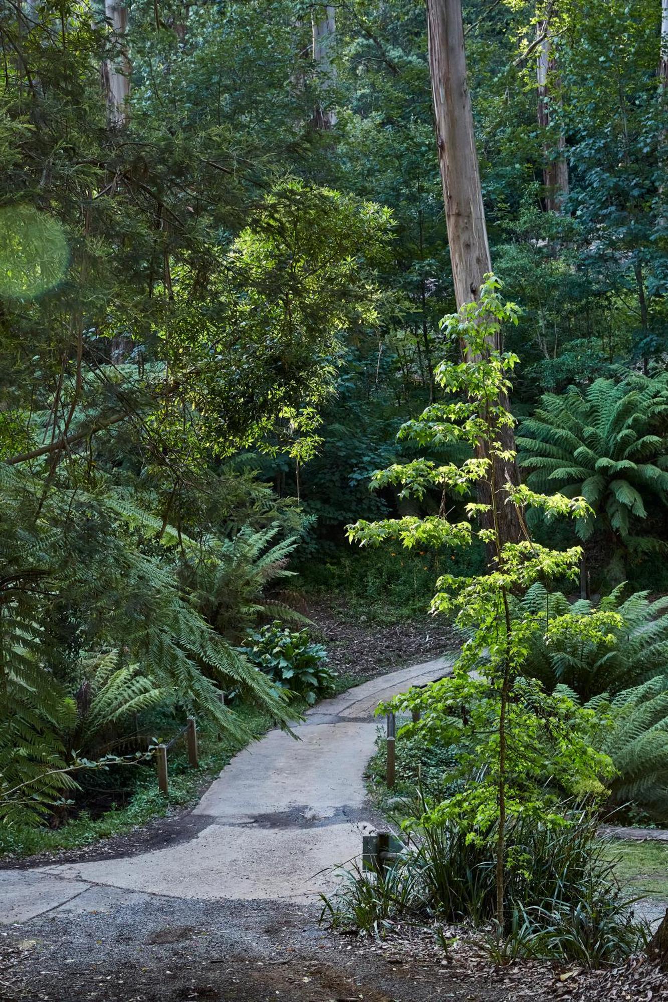 The Fernglen Forest Retreat Bed & Breakfast Mount Dandenong Exterior photo