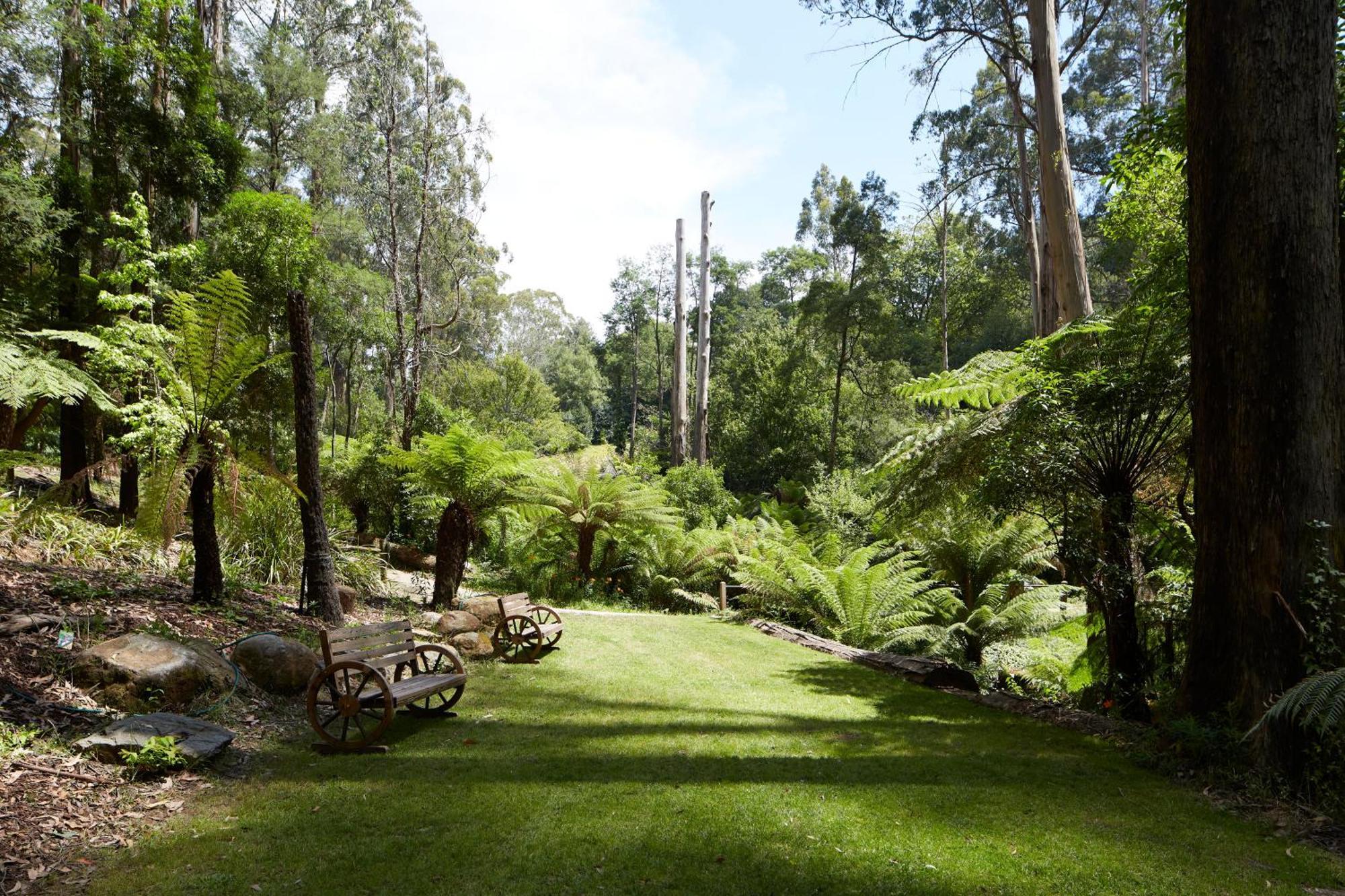 The Fernglen Forest Retreat Bed & Breakfast Mount Dandenong Exterior photo