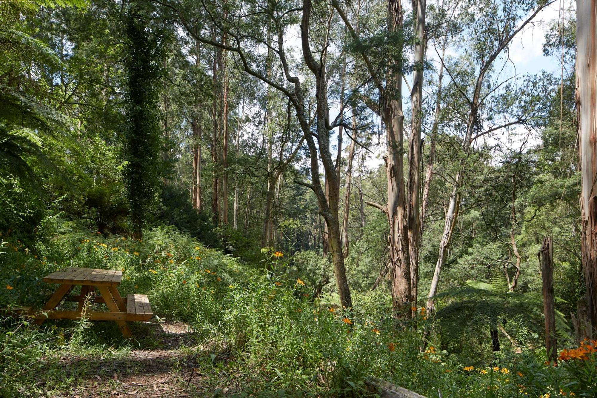 The Fernglen Forest Retreat Bed & Breakfast Mount Dandenong Exterior photo