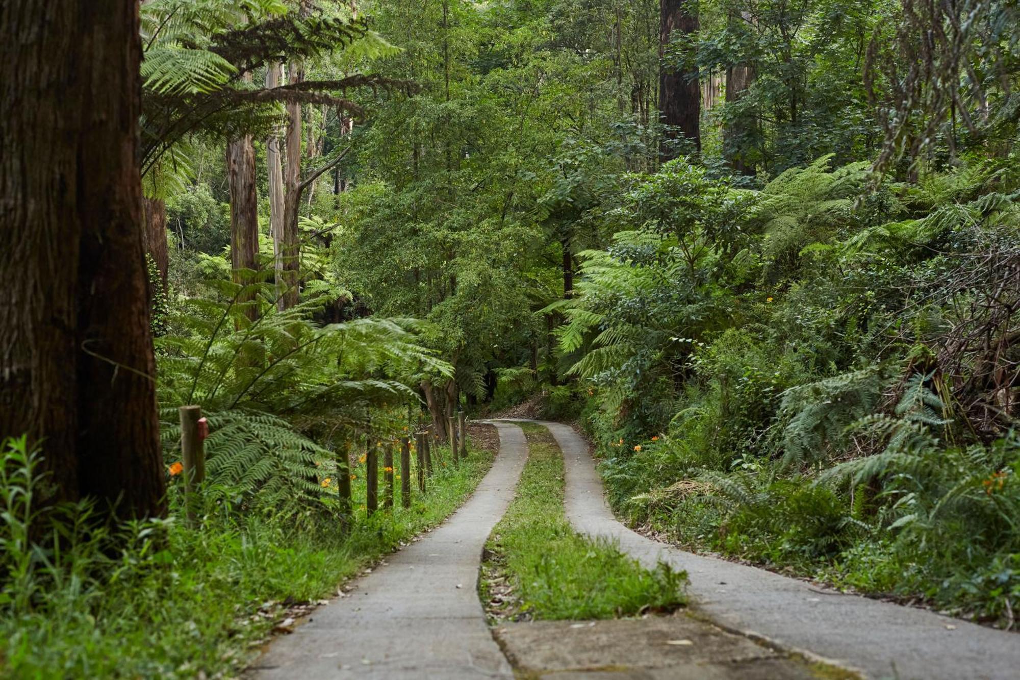 The Fernglen Forest Retreat Bed & Breakfast Mount Dandenong Exterior photo