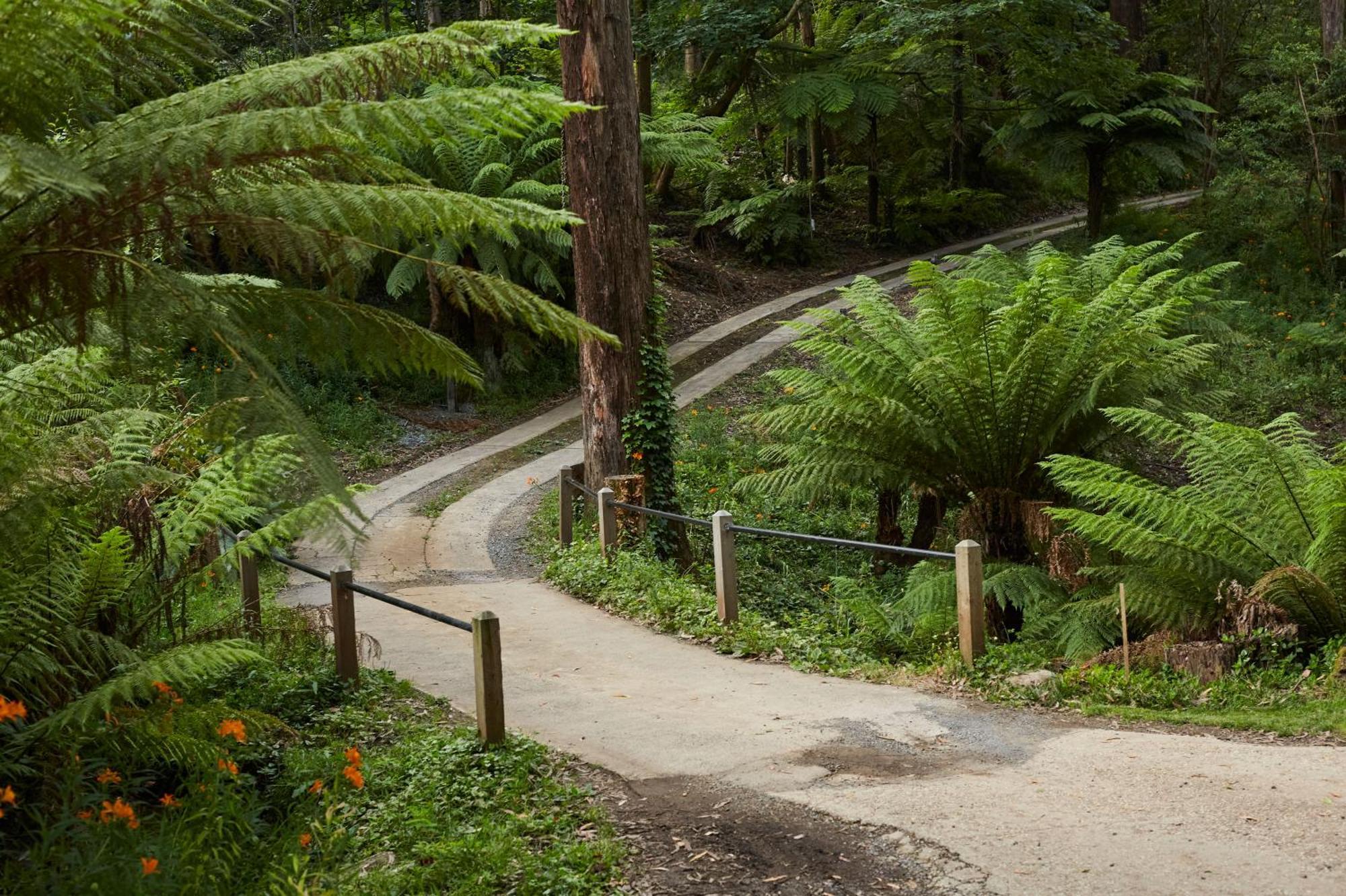 The Fernglen Forest Retreat Bed & Breakfast Mount Dandenong Exterior photo