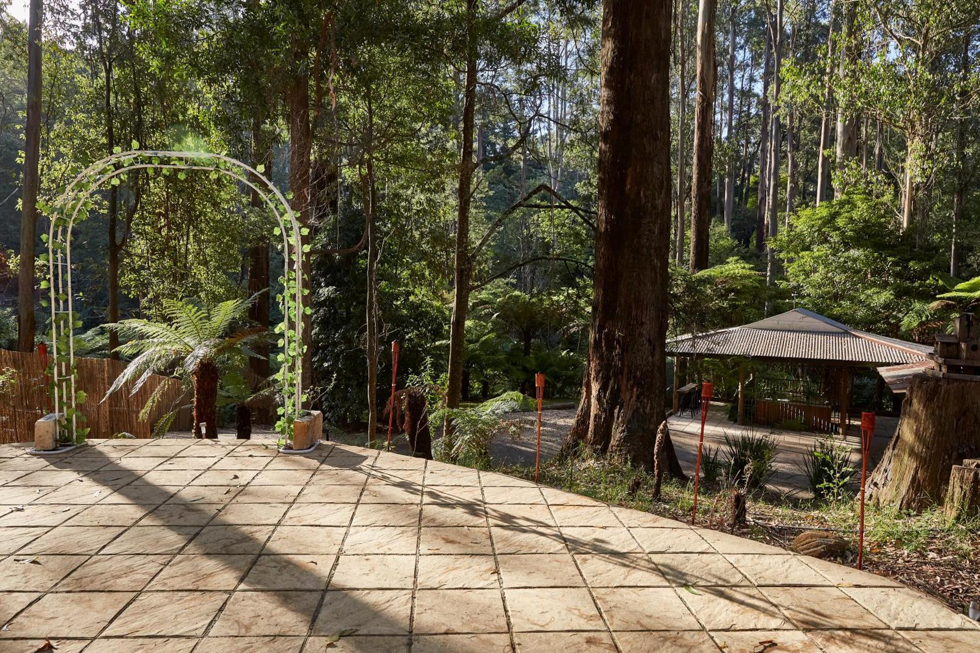 The Fernglen Forest Retreat Bed & Breakfast Mount Dandenong Exterior photo