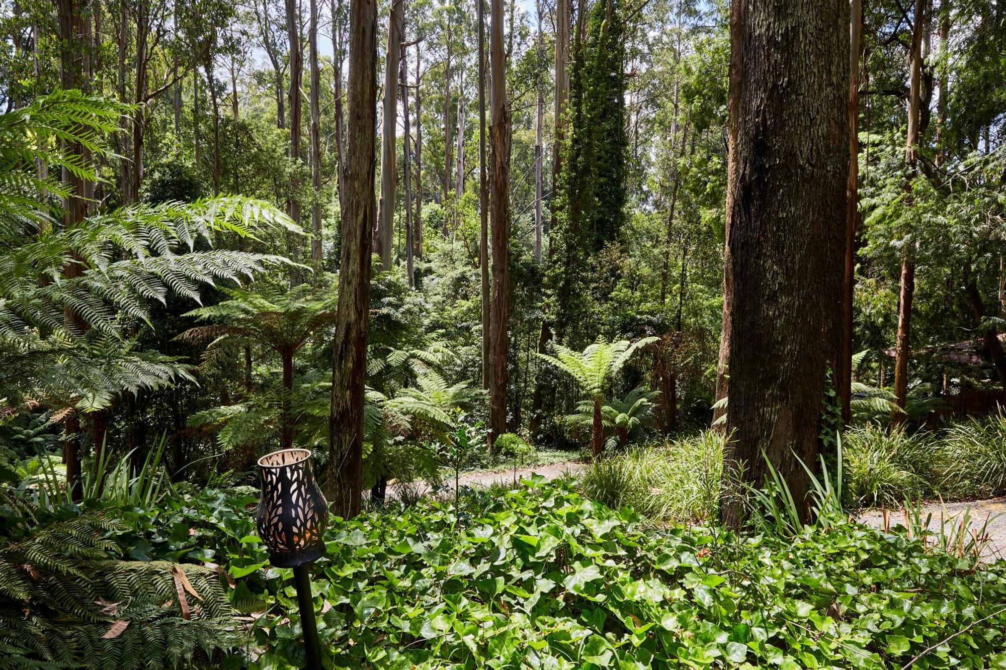 The Fernglen Forest Retreat Bed & Breakfast Mount Dandenong Exterior photo