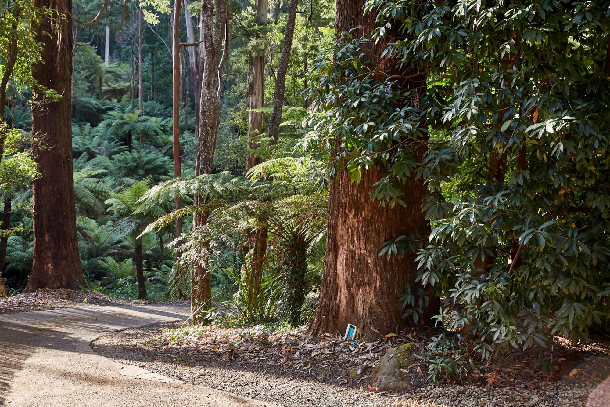 The Fernglen Forest Retreat Bed & Breakfast Mount Dandenong Exterior photo